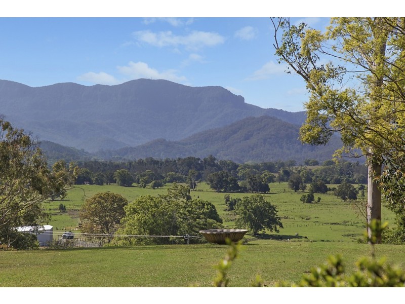 8 HARRYS ROAD, Crystal Creek NSW 2484