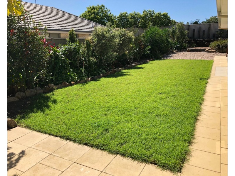 64 ROUS RIVER WAY, Murwillumbah NSW 2484