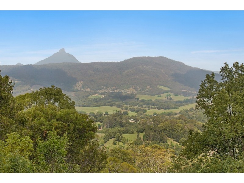 330 FERNVALE ROAD, Fernvale NSW 2484