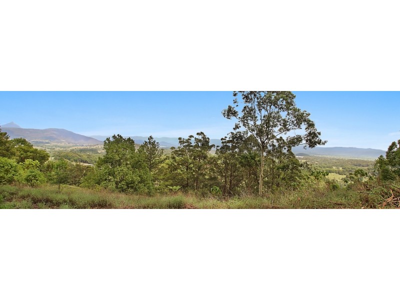 330 FERNVALE ROAD, Fernvale NSW 2484