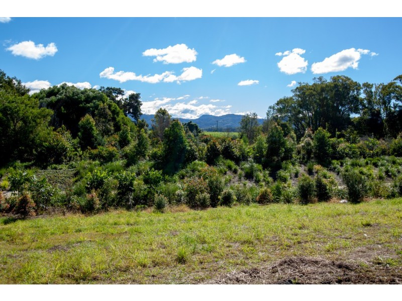 4b Sorrel Court, Murwillumbah NSW 2484