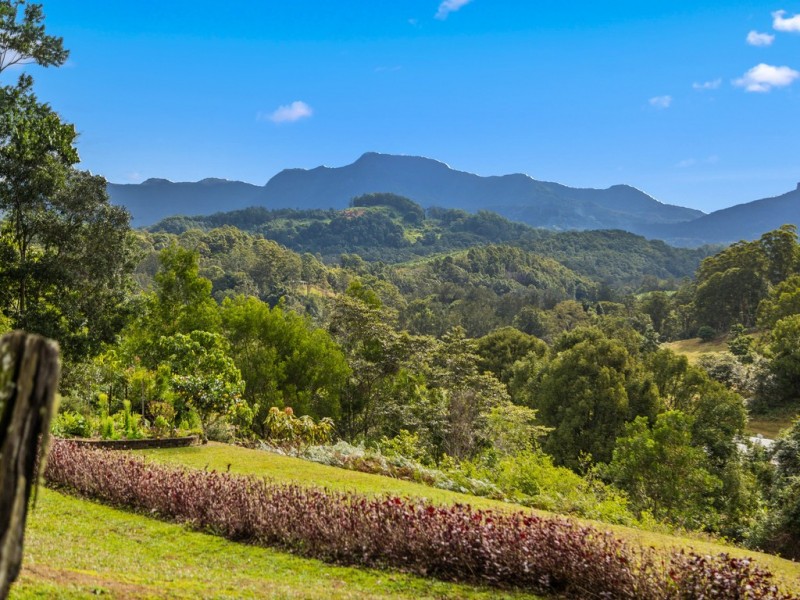 5 LARNOCK PLACE, Chillingham NSW 2484