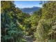 Mount Warning NSW 2484