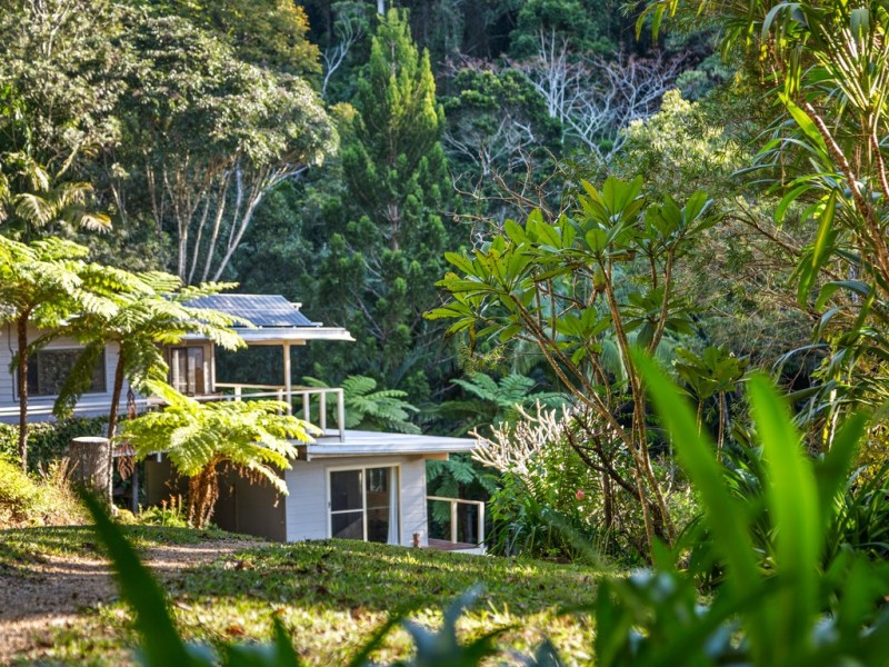 Mount Warning NSW 2484