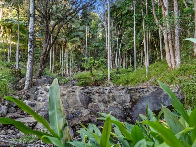 Mount Warning NSW 2484