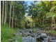 Mount Warning NSW 2484