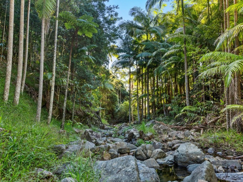 Mount Warning NSW 2484