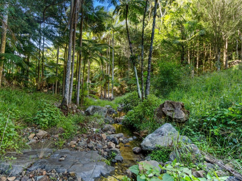 Mount Warning NSW 2484