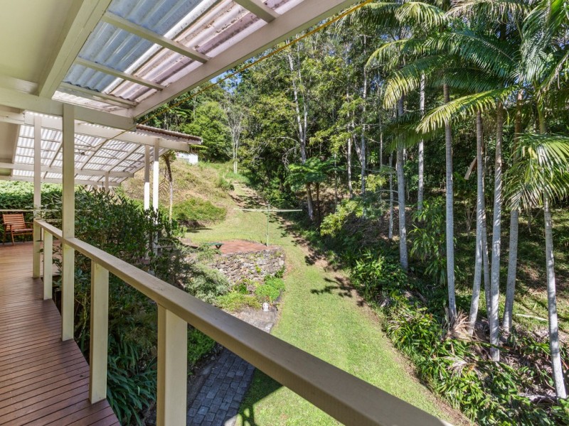 Mount Warning NSW 2484