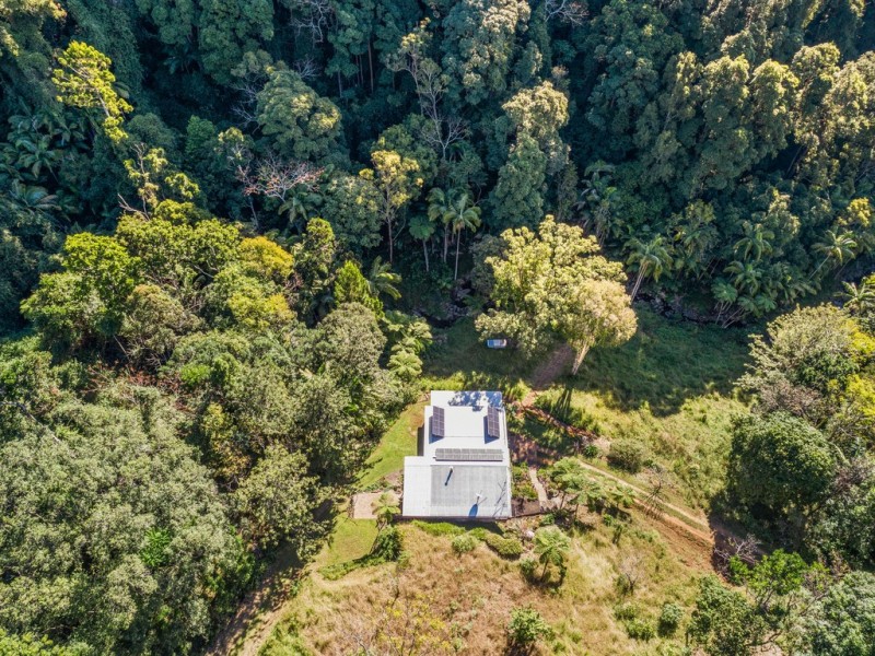 Mount Warning NSW 2484