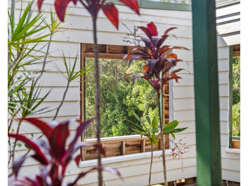 146 BLACKWOODS ROAD, Nobbys Creek NSW 2484