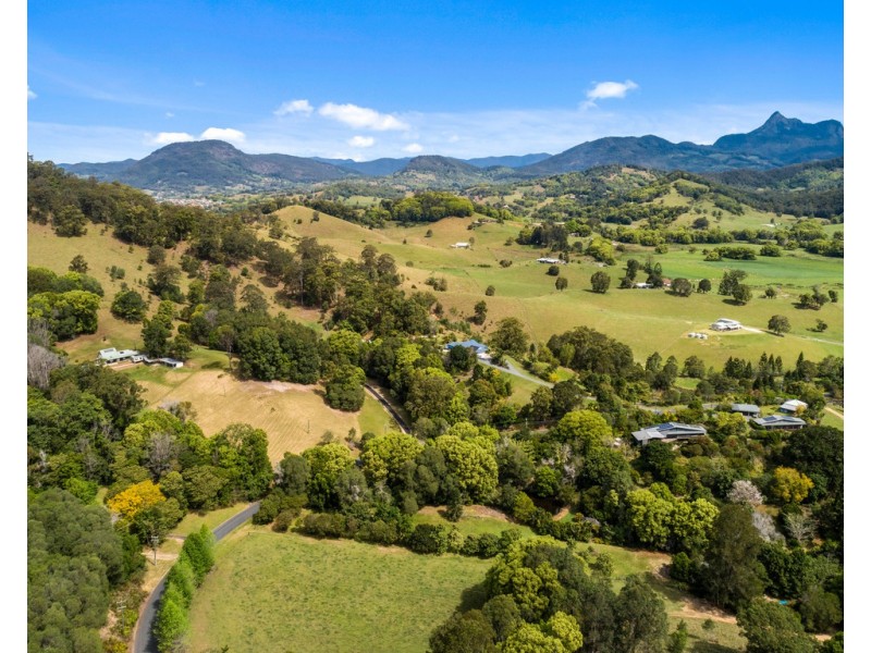 146 BLACKWOODS ROAD, Nobbys Creek NSW 2484