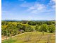 559 STOKERS ROAD, Dunbible NSW 2484