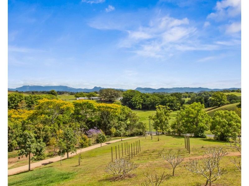 559 STOKERS ROAD, Dunbible NSW 2484