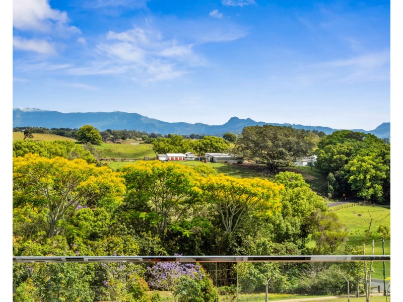 559 STOKERS ROAD, Dunbible NSW 2484