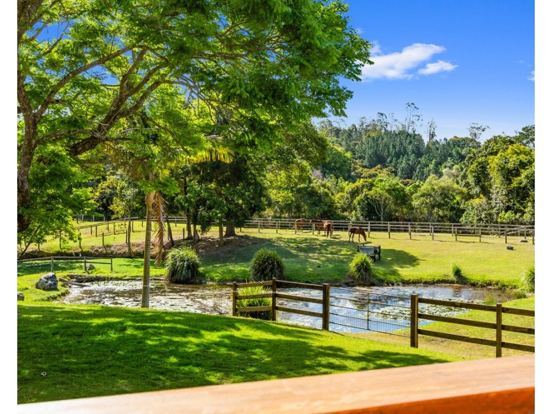 937 Smiths Creek Road, Stokers Siding NSW 2484