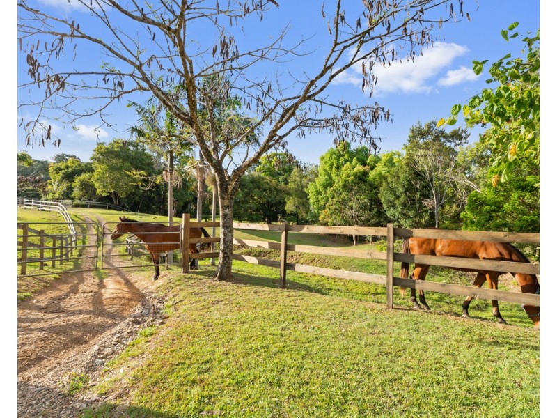 937 Smiths Creek Road, Stokers Siding NSW 2484