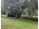 6003 TWEED VALLEY WAY, Burringbar NSW 2483