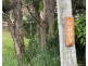 6003 TWEED VALLEY WAY, Burringbar NSW 2483