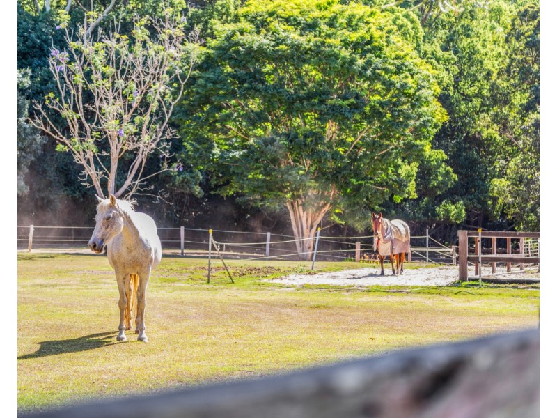 38 NOLANS ROAD, Stokers Siding NSW 2484