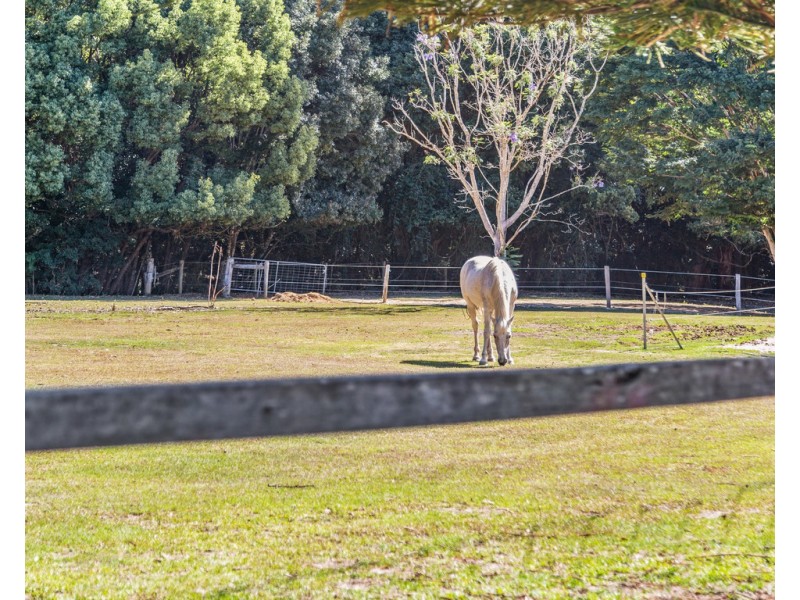 38 NOLANS ROAD, Stokers Siding NSW 2484