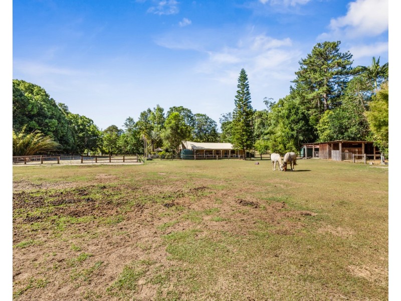38 NOLANS ROAD, Stokers Siding NSW 2484