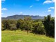 274 MOUNT BURRELL ROAD, Mount Burrell NSW 2484