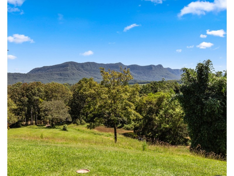 274 MOUNT BURRELL ROAD, Mount Burrell NSW 2484