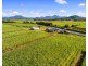 Lot 9 McCloys Road, Tygalgah NSW 2484