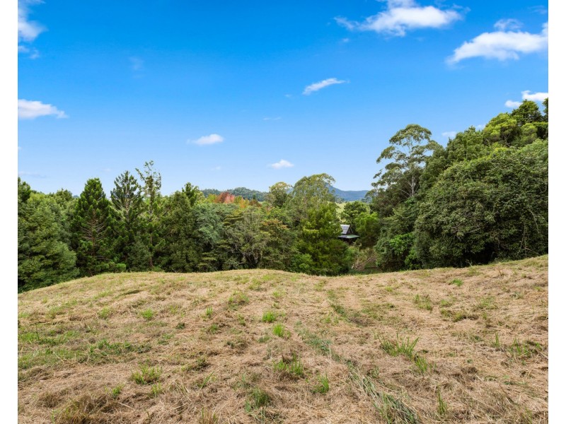 22 GLENCOE ROAD, North Arm NSW 2484