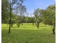 249 ROWLANDS CREEK ROAD, Uki NSW 2484
