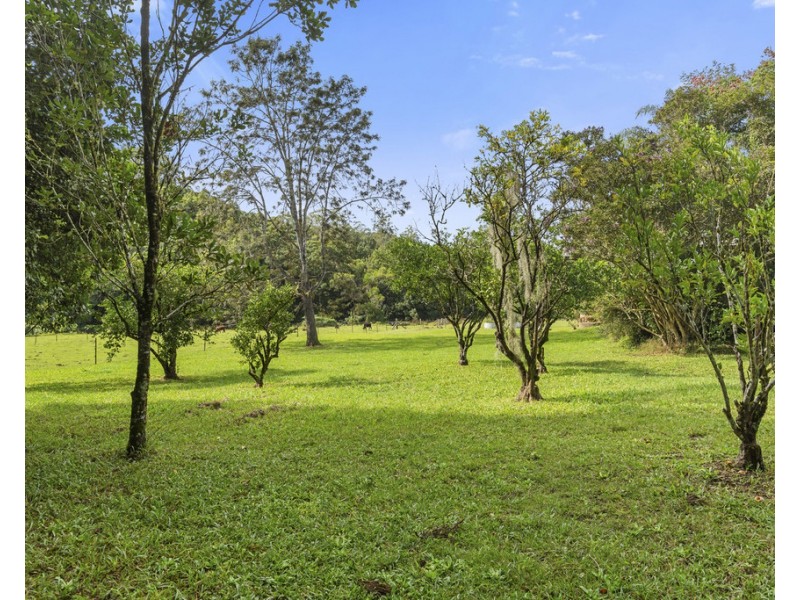 249 ROWLANDS CREEK ROAD, Uki NSW 2484