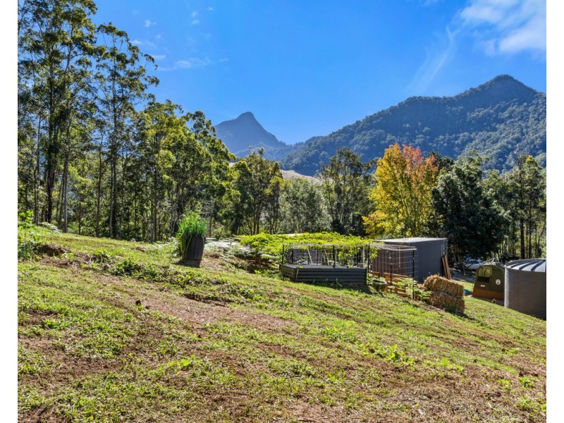 1897 KYOGLE ROAD, Terragon NSW 2484