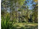 1897 KYOGLE ROAD, Terragon NSW 2484