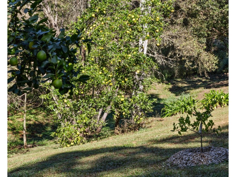 1897 KYOGLE ROAD, Terragon NSW 2484