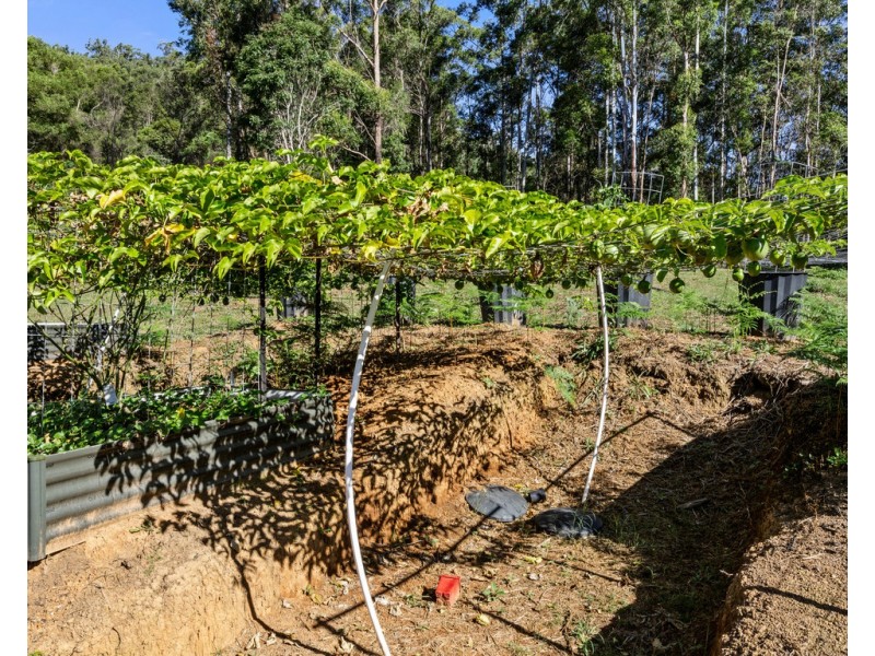 1897 KYOGLE ROAD, Terragon NSW 2484