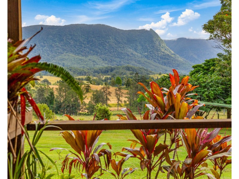 72 SOUTH PUMPENBIL ROAD, Pumpenbil NSW 2484