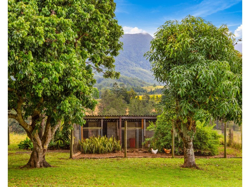 72 SOUTH PUMPENBIL ROAD, Pumpenbil NSW 2484