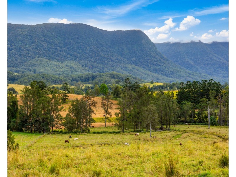 72 SOUTH PUMPENBIL ROAD, Pumpenbil NSW 2484