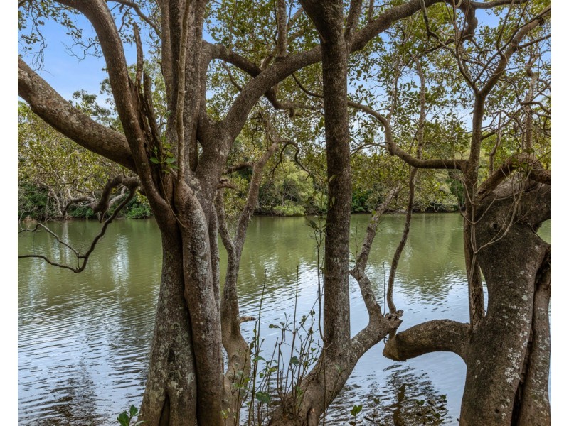 31 AROONA CRESCENT, Bilambil NSW 2486