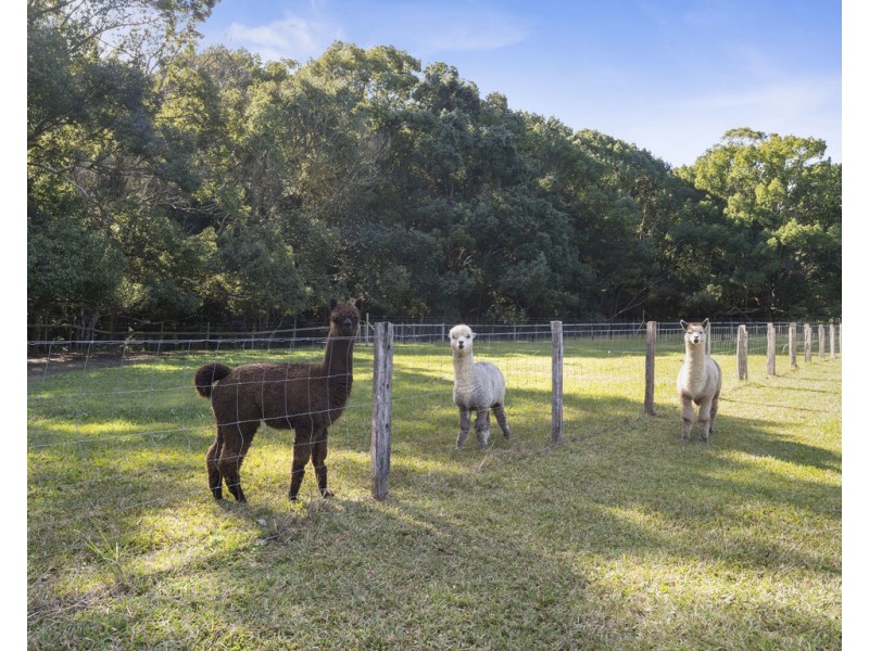 123 TUNNEL ROAD, Stokers Siding NSW 2484