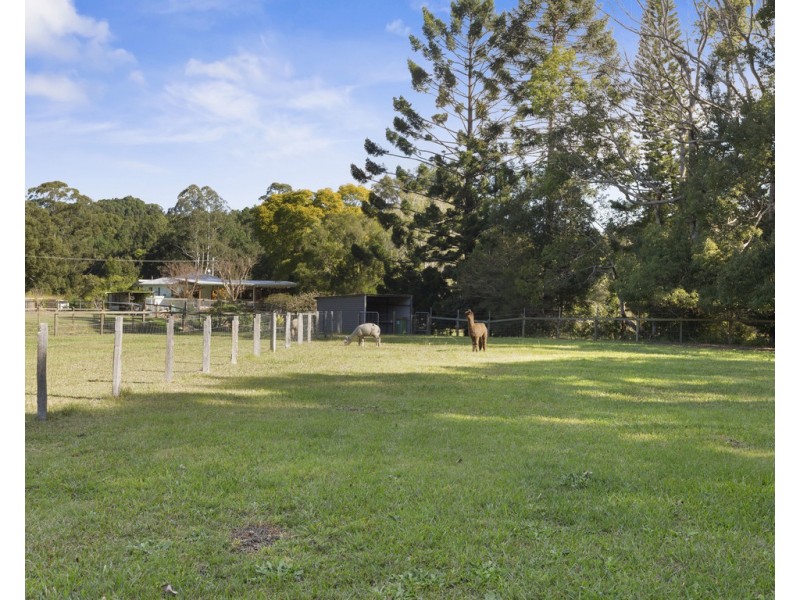123 TUNNEL ROAD, Stokers Siding NSW 2484