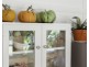 123 TUNNEL ROAD, Stokers Siding NSW 2484