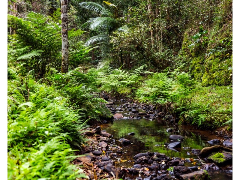 114 CROOKS VALLEY ROAD, Crystal Creek NSW 2484