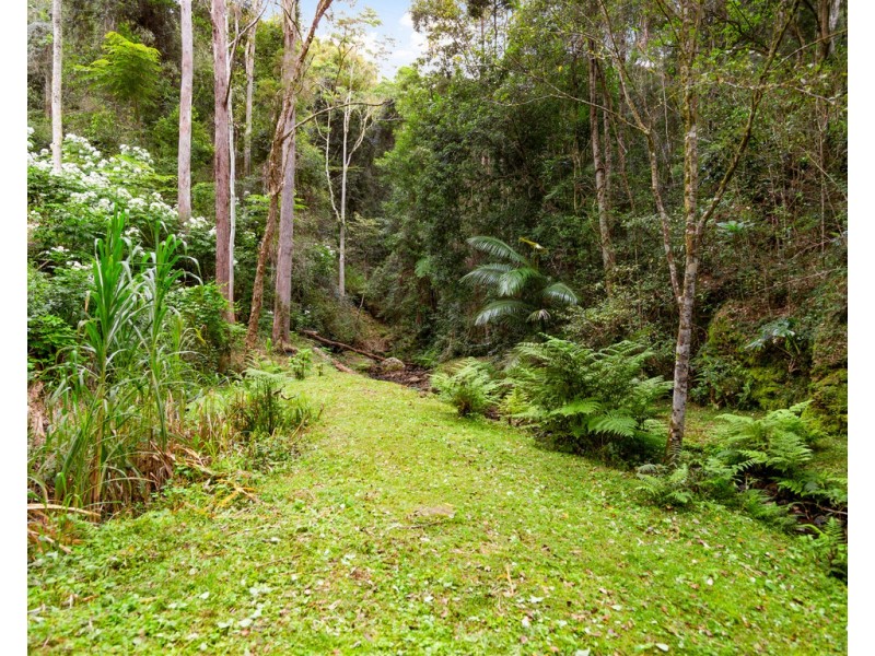 114 CROOKS VALLEY ROAD, Crystal Creek NSW 2484