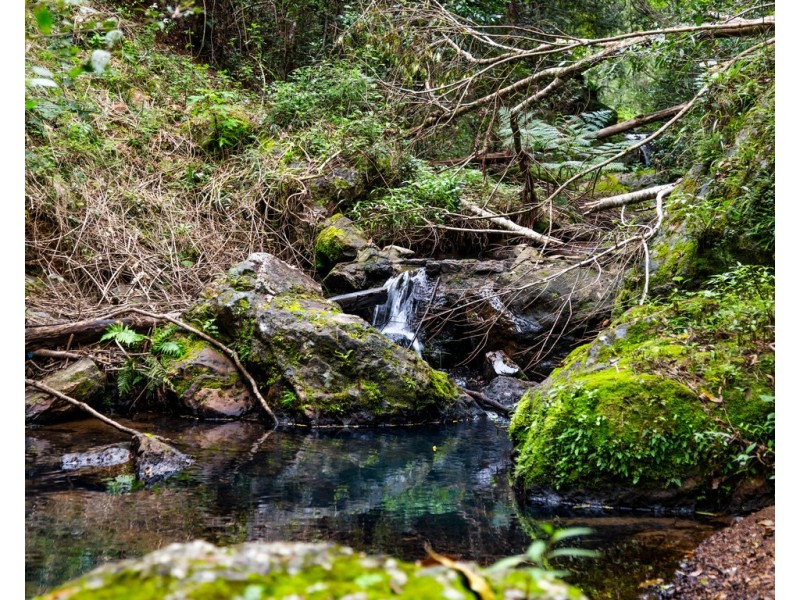 114 CROOKS VALLEY ROAD, Crystal Creek NSW 2484