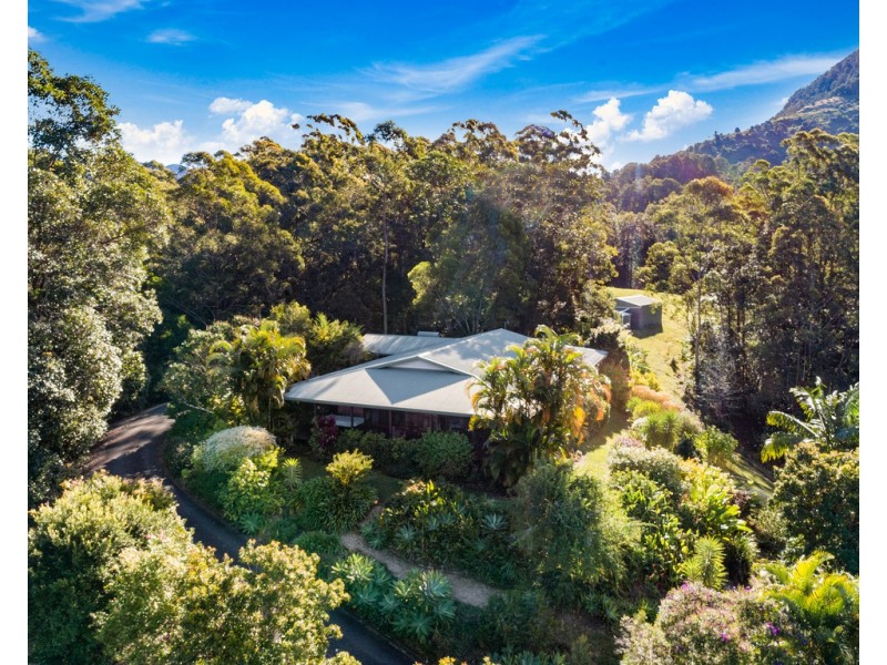 424 ZARA ROAD, Zara NSW 2484