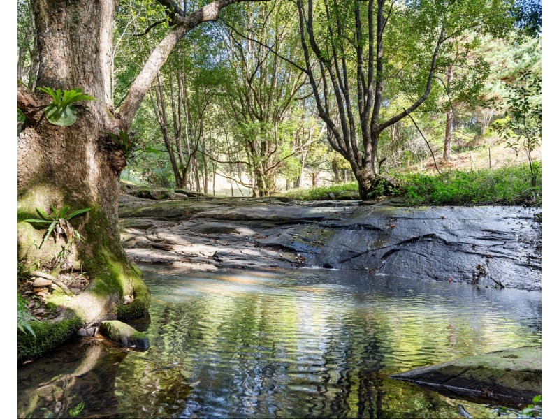 424 ZARA ROAD, Zara NSW 2484