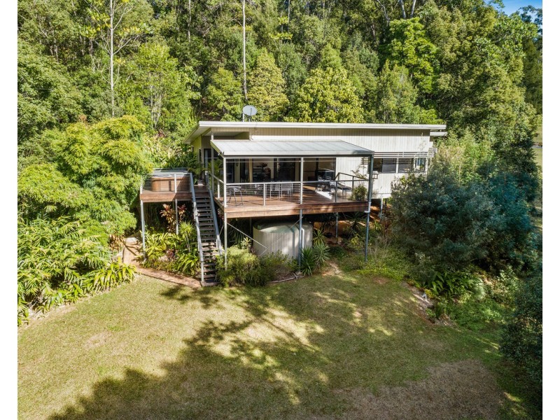 424 ZARA ROAD, Zara NSW 2484