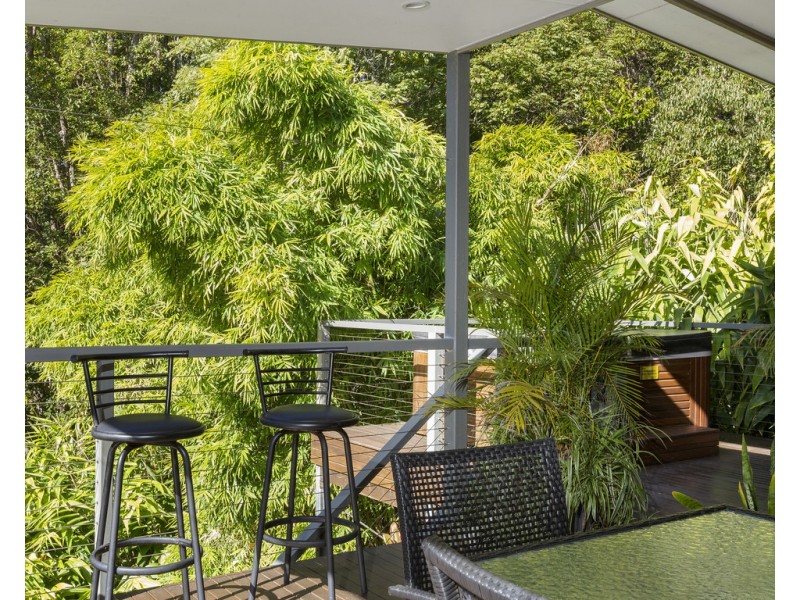 424 ZARA ROAD, Zara NSW 2484